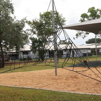 Renecol Park Climbing Net