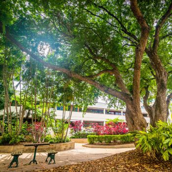 Perfume Gardens Picnic Area