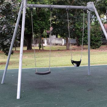 Renecol Park Swings