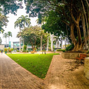 Perfume Gardens Pathway