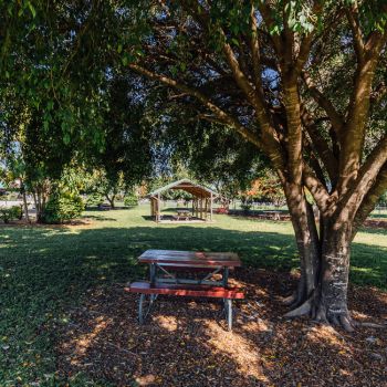 Lou Litster Park Picnic Area