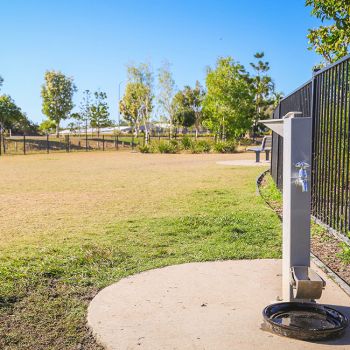 Peggy Banfield Park Dog Park