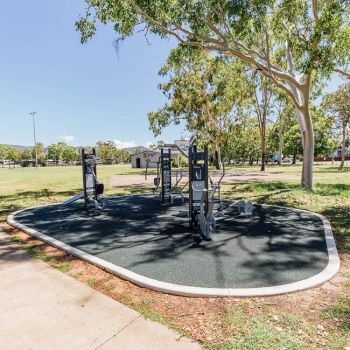 Western Lions Park Exercise Equipment