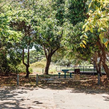 Pallarenda Beach Picnic Area