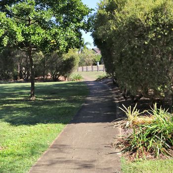 Needletail Park Pathway