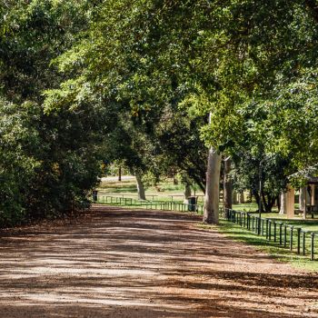 Vincent 'Bushy' Parker Park Pathway