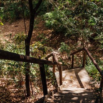 Vincent 'Bushy' Parker Park Walking Track