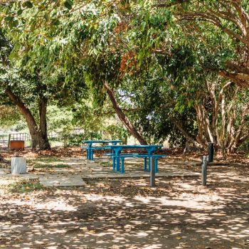 Pallarenda Beach Picnic Area