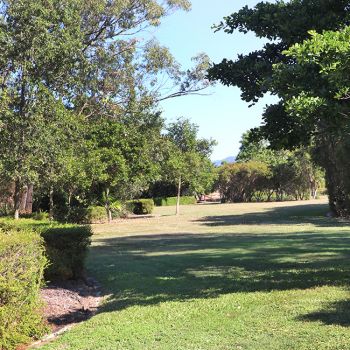 Needletail Park Grassed Area