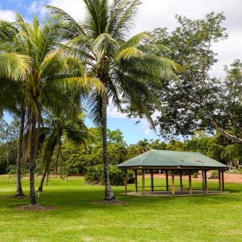 Palmetum Covered Area