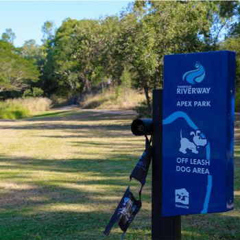 Apex Park Off Leash Dog Area