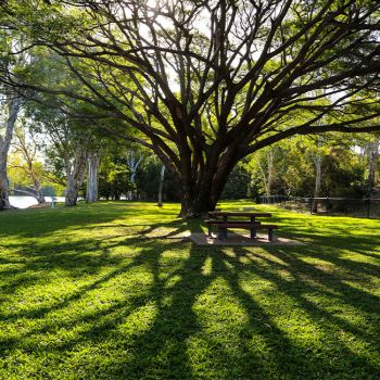 Riverside Park Picnic Area