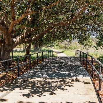 Pallarenda Beach Pathway