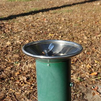 Bauhinia Drinking Fountain