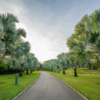 Anderson Gardens Path