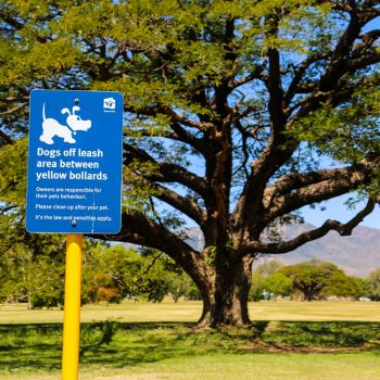 Mindham Park Dog Off Leash Area Sign