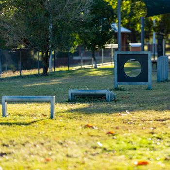 Rossiter Park Dog Exercise Equipment