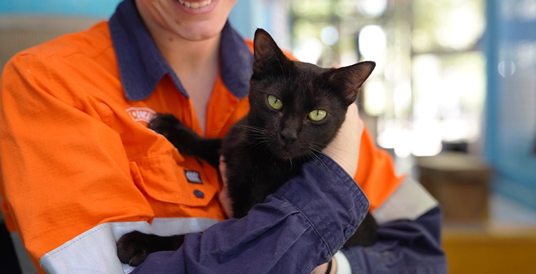 Animal Care and Adoption Centre’s Fiona Carmelito with a lucky black cat.