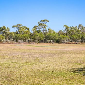 Bremer Park Cricket Pitch