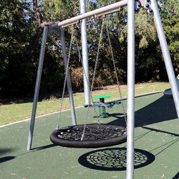 Needletail Park Swing