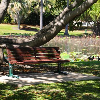 Anderson Gardens Bench