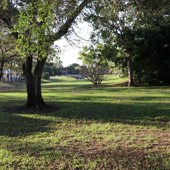 Serissa Park Grassed Area