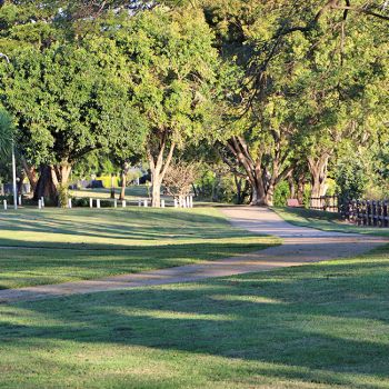 Wes Barrett Park Pathway