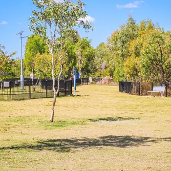 Mannikin Dog Park Overview