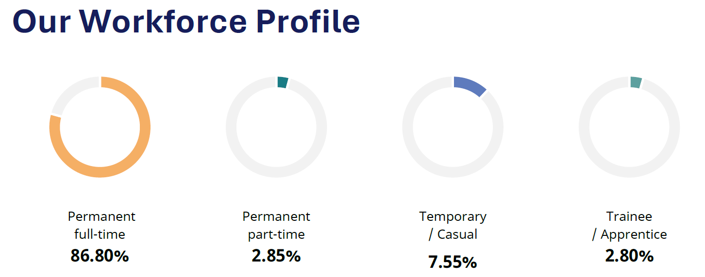 Image showing breakdown of workforce profile