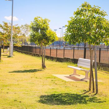 Mannikin Dog Park Seat