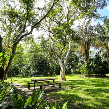 Palmetum Picnic Area